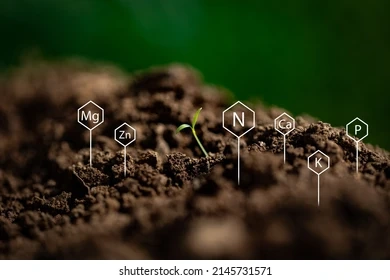 chemical-symbols-nitrogen-potassium-phosphorus-260nw-2145731571