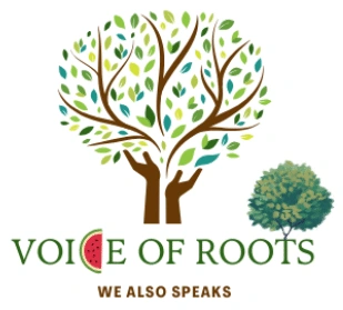 Voice Of Roots
